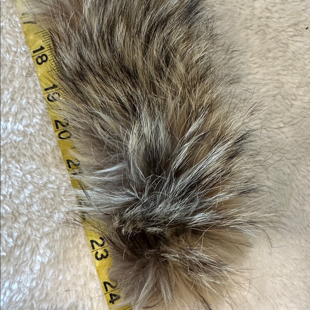 Real coyote tail - Picture 2 of 3